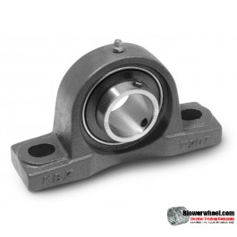 -  - Dodge-1dp250in-pillow-block-bearing